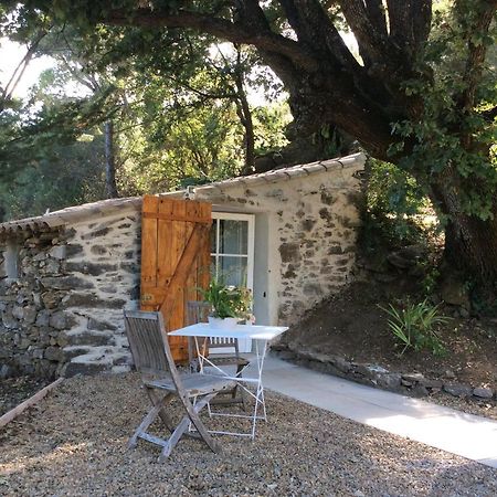 La Petite Bergerie, Les Hautes Roches Collobrières Exterior foto