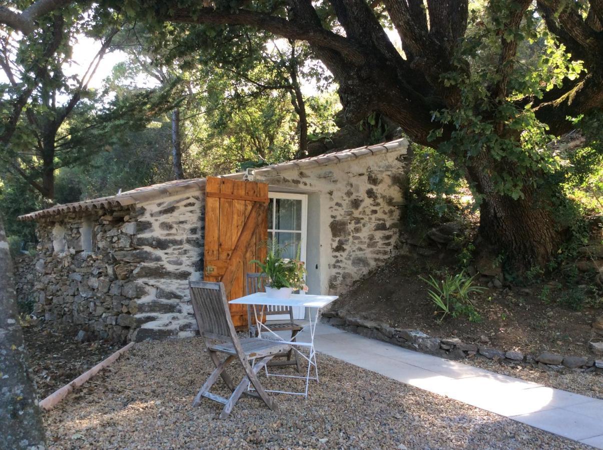 La Petite Bergerie, Les Hautes Roches Collobrières Exterior foto