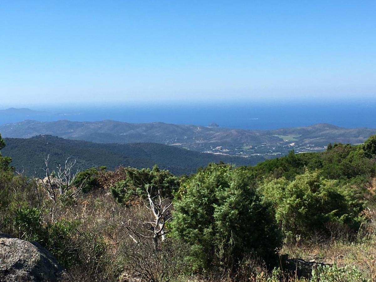 La Petite Bergerie, Les Hautes Roches Collobrières Exterior foto