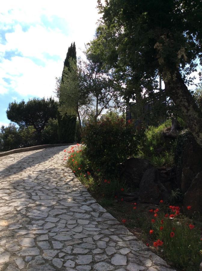 La Petite Bergerie, Les Hautes Roches Collobrières Exterior foto