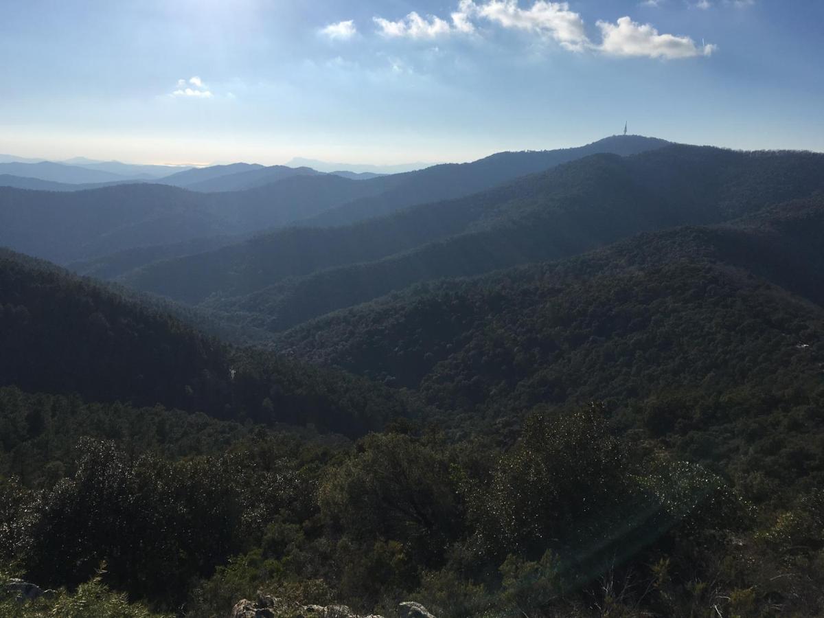 La Petite Bergerie, Les Hautes Roches Collobrières Exterior foto