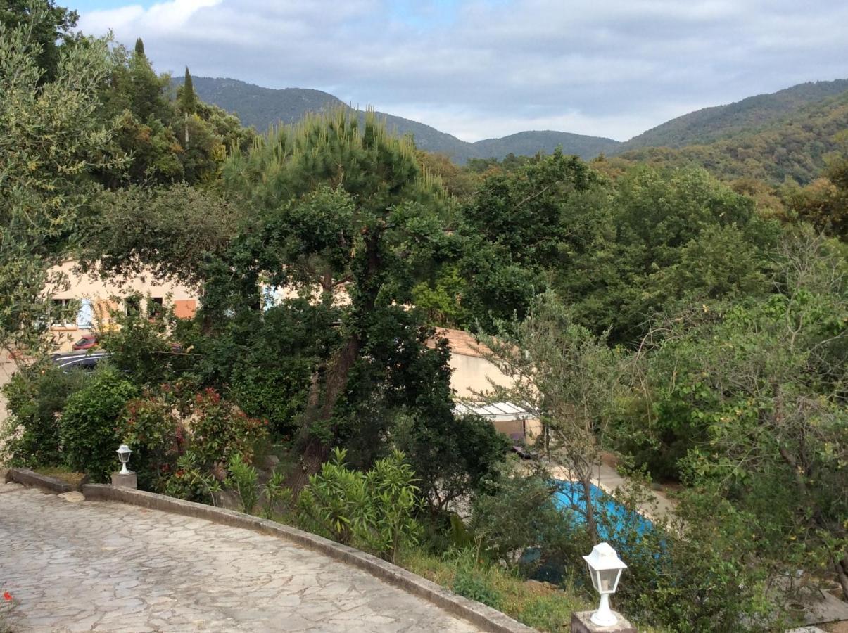 La Petite Bergerie, Les Hautes Roches Collobrières Exterior foto